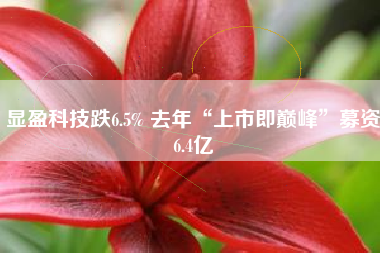 显盈科技跌6.5% 去年“上市即巅峰”募资6.4亿