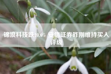 锦浪科技跌10.6% 安信证券昨刚维持买入评级