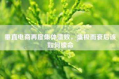 垂直电商再度集体溃败，盛极而衰后该如何续命