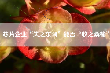 芯片企业“失之东隅”能否“收之桑榆”