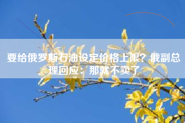 要给俄罗斯石油设定价格上限？俄副总理回应：那就不卖了