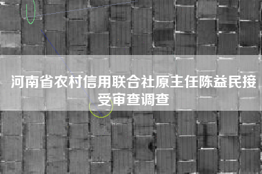 河南省农村信用联合社原主任陈益民接受审查调查