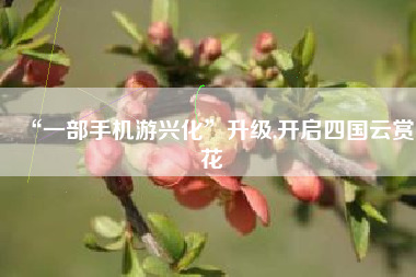 “一部手机游兴化”升级,开启四国云赏花