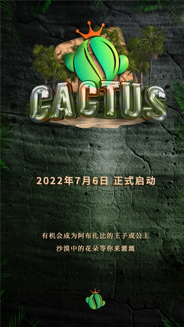 CACTUS拥有先天优势的量化工具